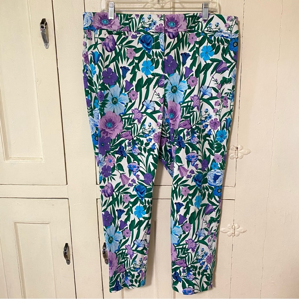 Talbots Women's Chatham Ankle Pants Glorious Garden 20W Plus Petite